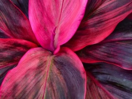 Embodied Journey: 'Parts Work' 