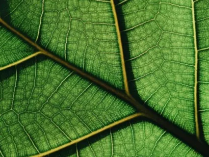 Passion and Spirituality - Weekly Energy Boost