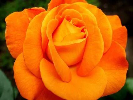 Passion & Creativity (Sacral Chakra) Affirmations