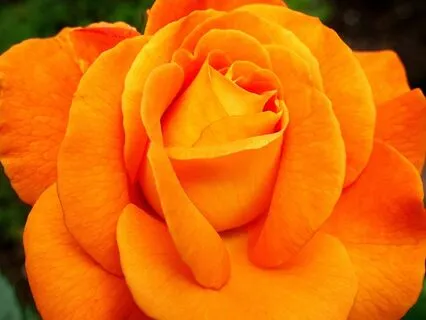 Passion & Creativity (Sacral Chakra) Just Affirmations