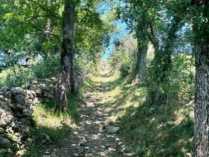 Passive Income Affirmations