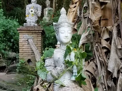 Past & Future Energy Clearing