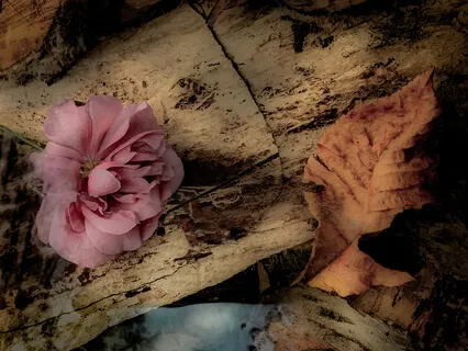 Past Life Regression