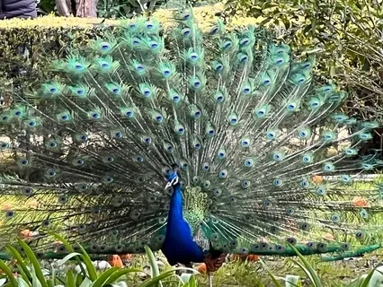 Past-Life Regression For Creative Courage