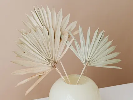 Past Life Regression Guided Meditation