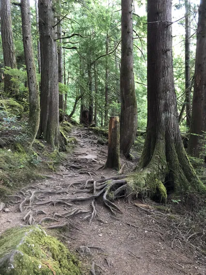 Past Life Wisdom Meditation