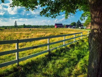 Past Lives Exploration