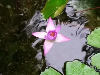 Past, Present, Future