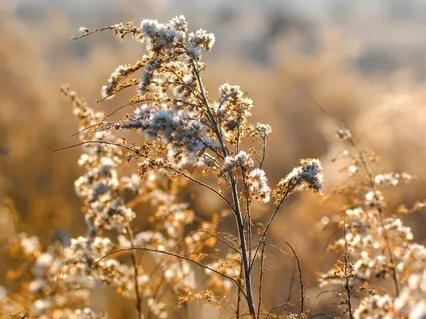 Past, Present Or Future: Where Do You Choose To Live?