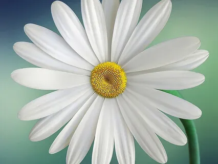 Path Of Financial Freedom From Passages By Cynthia James