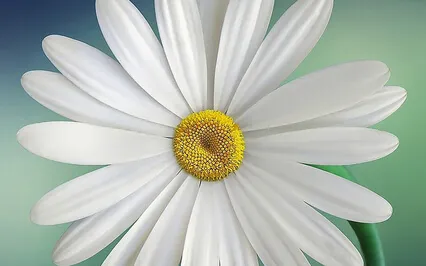 Path Of Health & Wellbeing From Passages CD By Cynthia James