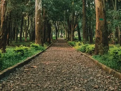 Path Of The Ancients: Rhythms For Renewal