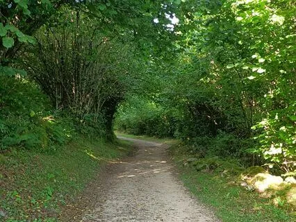 Path | Relaxing Piano Music