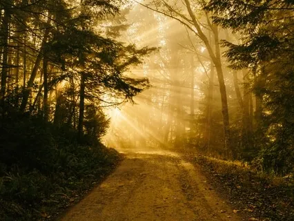 Path To Govinda (Lifeline Mix)