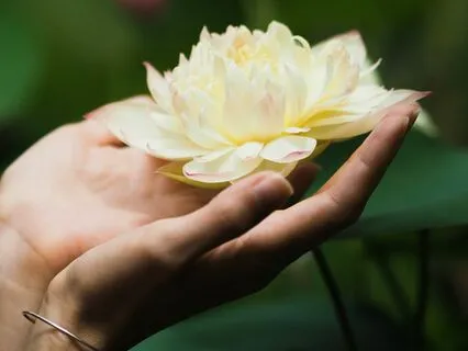 Path to Inner Peace: Hum Sa Meditation for Karma Clearing