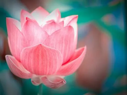 Your Happiness And Fulfillment