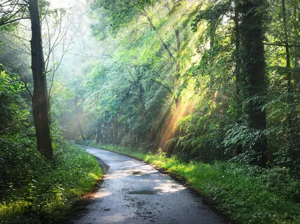 Pathfinding Visualisation (Extended Version)