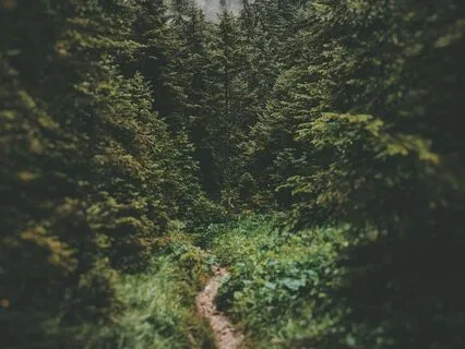 Paths To Your Heart: An Emotional Check-In