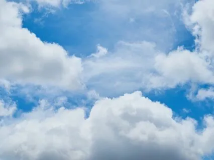 Pathway To Clear Thoughts: Eliminate Brain Fog