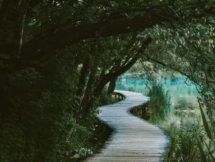 Pathway To The Heart With Music