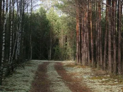 Pathways Of Serenity
