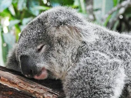 Pathways To Sleep - Night 2