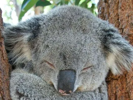 Pathways To Sleep - Night 3 - Progressive Muscle Relaxation