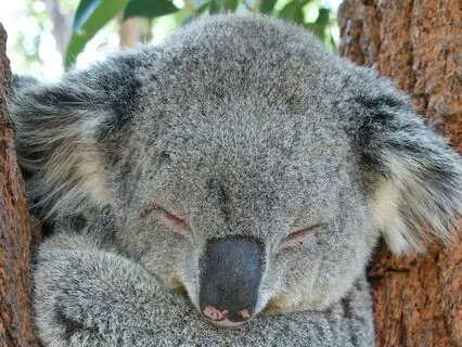 Pathways To Sleep - Night 5 - Navy Variation