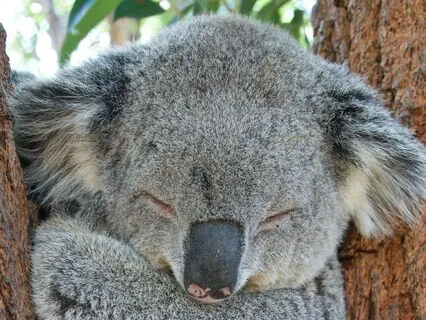 Pathways To Sleep - Night 7 - Nidra