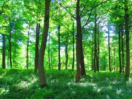 Patience & Persistence