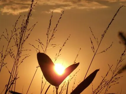 Patience And Self-Understanding Amidst Difficulty