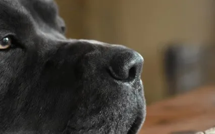 Patience In An Impatient World