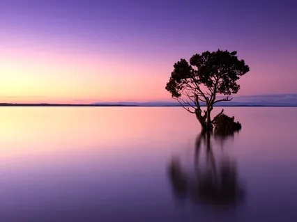 Patience Of The Essence