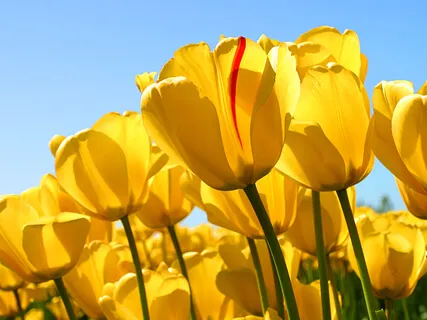 Achieving The Virtues Of Patience Positivity & Persistence