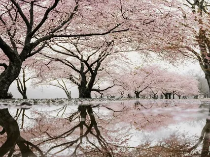 Patience To Befriend Time