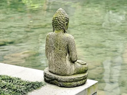 Patiently Learning To Calm The Mind 