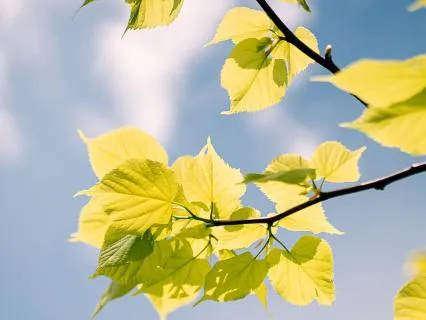 Pattern Interrupt: Breathwork For Cravings & Self-Sabotage