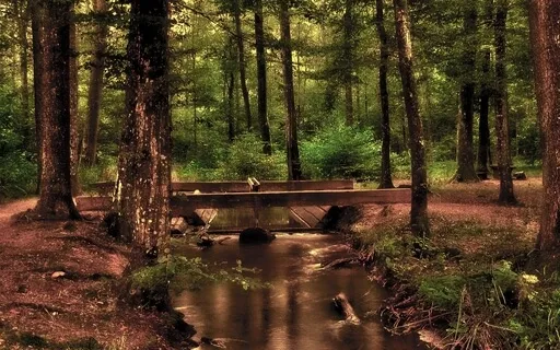 Pausa Para Respirar Com Bondade (MBCL)