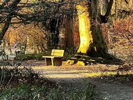 Pause. Allow Yourself To Pause And Just Be. 5 Minute Break