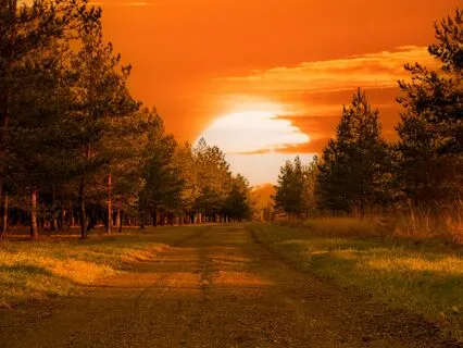 Pause And Appreciate: Cultivating Gratitude