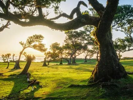 Pause And Breathe: Shamanic Calm