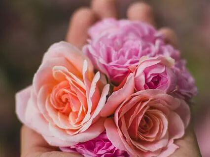 Heart-Centered: A Meditation To Release Stress And Anxiety