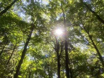 Pause, Breathe, And Re-Centre
