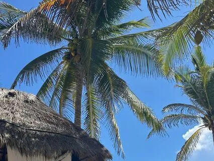 Pause. Breathe. Begin Again.