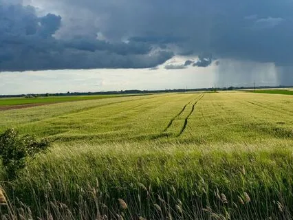 3-Minute Reset: Triggered? Here's How To Respond