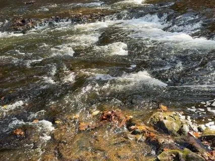 Pause By An Autumn River