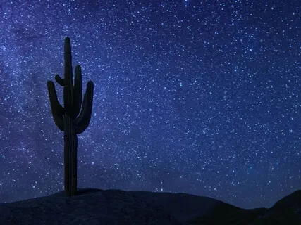 Pause For Prayer - An Earth Prayer