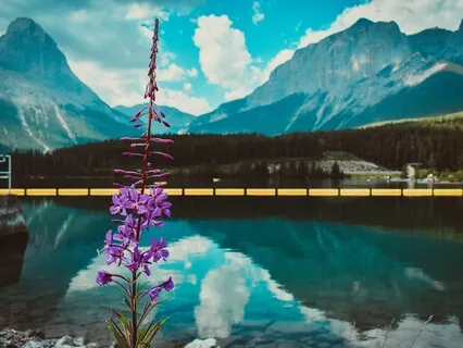 Pause Practice: Slowing Down