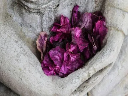 Pause, Pray, And Curb Your Rashness To Achieve Serenity