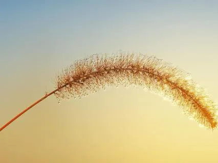 Pause, Recharge, And Reset